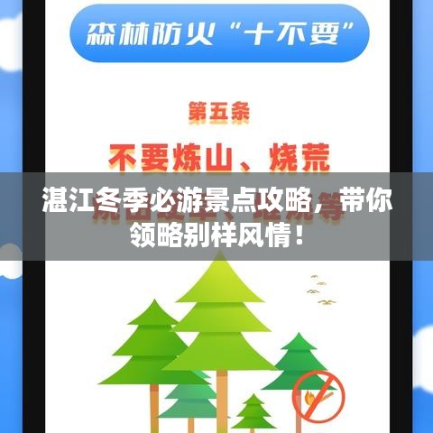 湛江冬季必游景点攻略，带你领略别样风情！