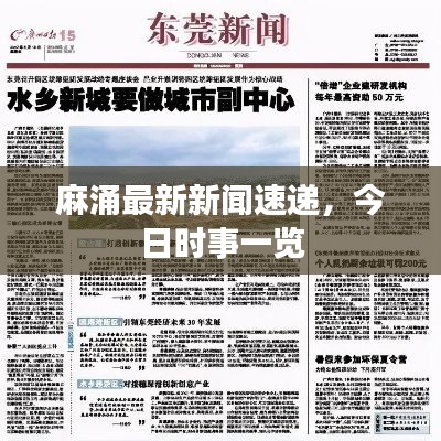 麻涌最新新闻速递，今日时事一览
