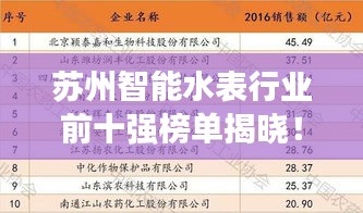 苏州智能水表行业前十强榜单揭晓！