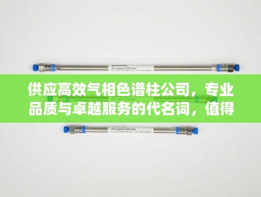 供应高效气相色谱柱公司，专业品质与卓越服务的代名词，值得信赖的选择
