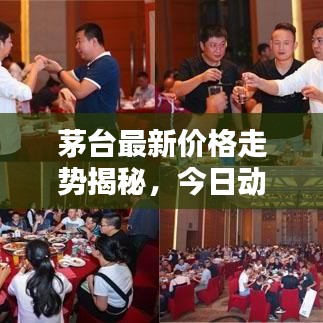 茅台最新价格走势揭秘，今日动态分析报告