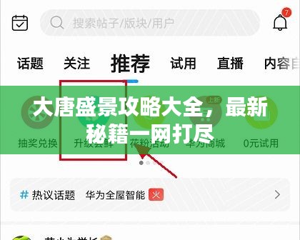 大唐盛景攻略大全，最新秘籍一网打尽