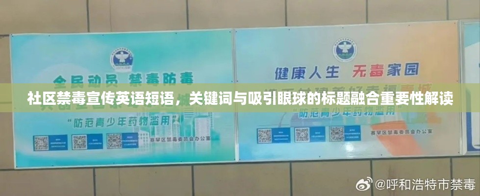 社区禁毒宣传英语短语，关键词与吸引眼球的标题融合重要性解读