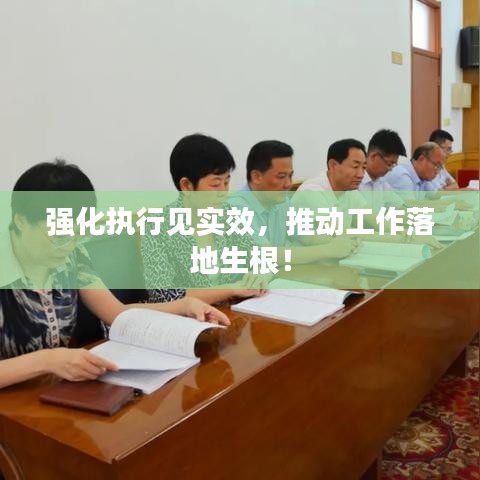 强化执行见实效，推动工作落地生根！