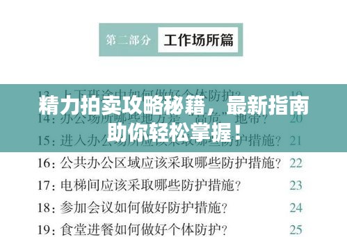 精力拍卖攻略秘籍，最新指南助你轻松掌握！