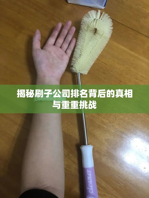 揭秘刷子公司排名背后的真相与重重挑战