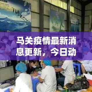 马关疫情最新消息更新，今日动态关注疫情进展