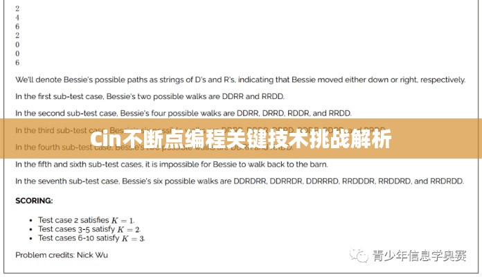 Cin不断点编程关键技术挑战解析