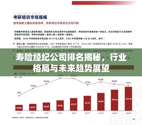 寿险经纪公司排名揭秘，行业格局与未来趋势展望