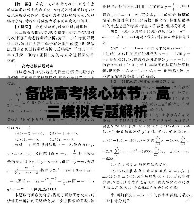 备战高考核心环节，高三模拟专题解析