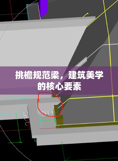 挑檐规范梁，建筑美学的核心要素