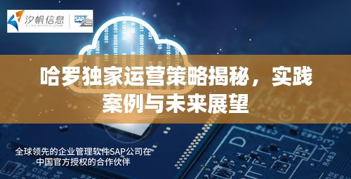 哈罗独家运营策略揭秘，实践案例与未来展望