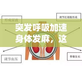 突发呼吸加速身体发麻，这些症状你需要警惕！健康警示来袭！