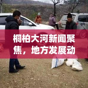 桐柏大河新闻聚焦，地方发展动态速递