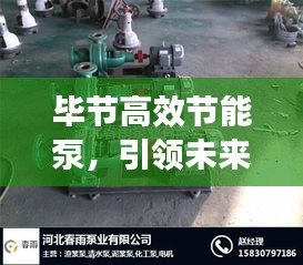 毕节高效节能泵，引领未来工业发展的核心动力之源