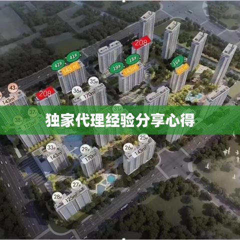独家代理经验分享心得