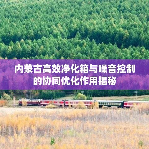 内蒙古高效净化箱与噪音控制的协同优化作用揭秘