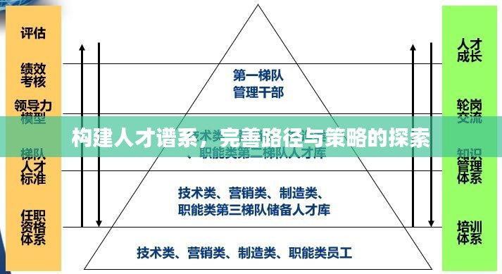 构建人才谱系，完善路径与策略的探索