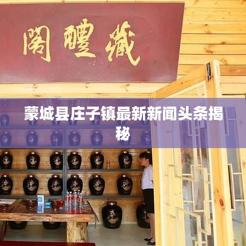 蒙城县庄子镇最新新闻头条揭秘