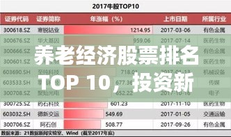 养老经济股票排名TOP 10，投资新视角揭秘！