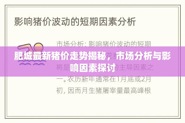 肥城最新猪价走势揭秘，市场分析与影响因素探讨