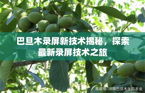 巴旦木录屏新技术揭秘，探索最新录屏技术之旅