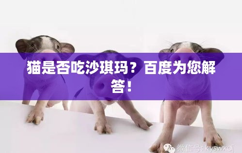 猫是否吃沙琪玛？百度为您解答！