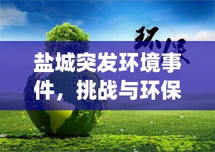 盐城突发环境事件，挑战与环保重要性凸显
