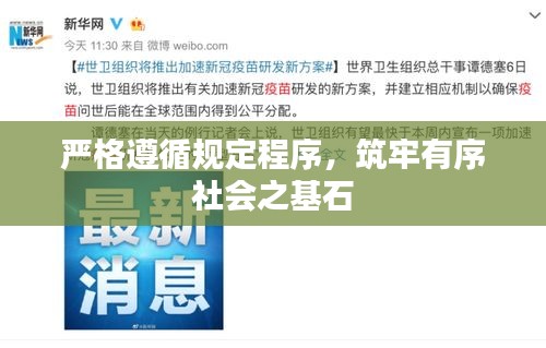 严格遵循规定程序，筑牢有序社会之基石