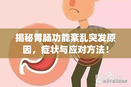 揭秘胃肠功能紊乱突发原因，症状与应对方法！