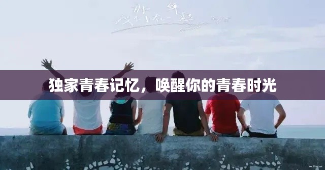 独家青春记忆，唤醒你的青春时光