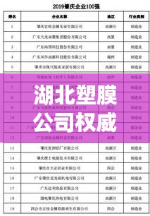 湖北塑膜公司权威排名榜单揭晓