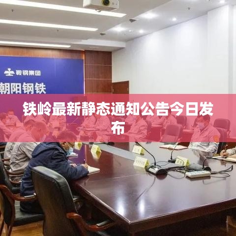 铁岭最新静态通知公告今日发布