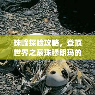 珠峰探险攻略，登顶世界之巅珠穆朗玛的绝佳体验