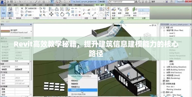 Revit高效教学秘籍，提升建筑信息建模能力的核心路径