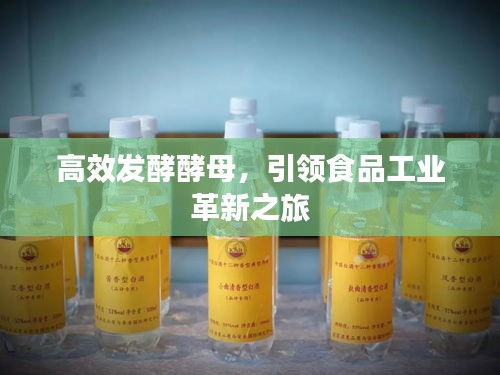 高效发酵酵母，引领食品工业革新之旅