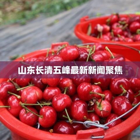 山东长清五峰最新新闻聚焦