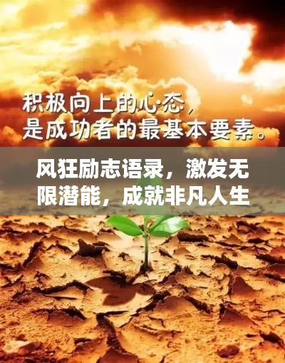 风狂励志语录，激发无限潜能，成就非凡人生！