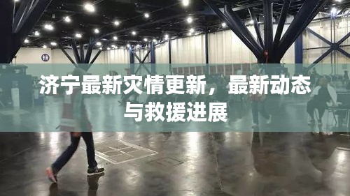济宁最新灾情更新，最新动态与救援进展