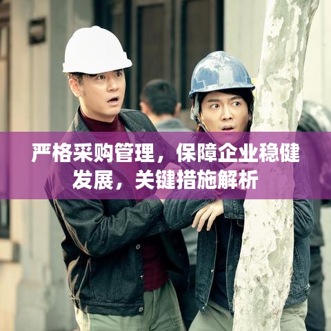 严格采购管理，保障企业稳健发展，关键措施解析
