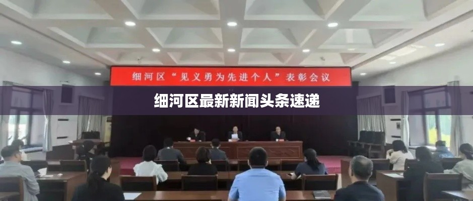 细河区最新新闻头条速递