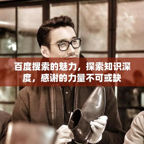百度搜索的魅力，探索知识深度，感谢的力量不可或缺