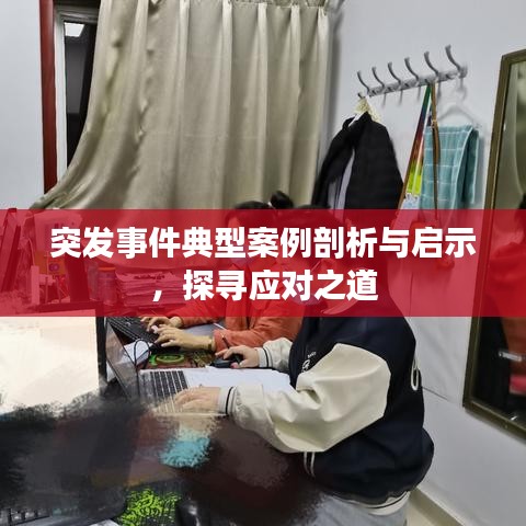 突发事件典型案例剖析与启示，探寻应对之道