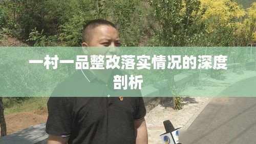 一村一品整改落实情况的深度剖析