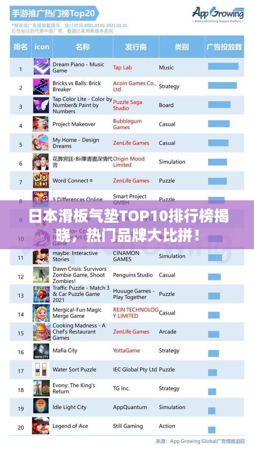 日本滑板气垫TOP10排行榜揭晓，热门品牌大比拼！