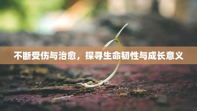不断受伤与治愈，探寻生命韧性与成长意义