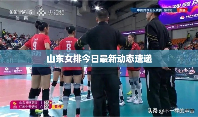 山东女排今日最新动态速递