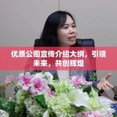 优质公司宣传介绍大纲，引领未来，共创辉煌