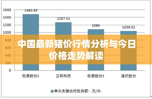 中国最新猪价行情分析与今日价格走势解读