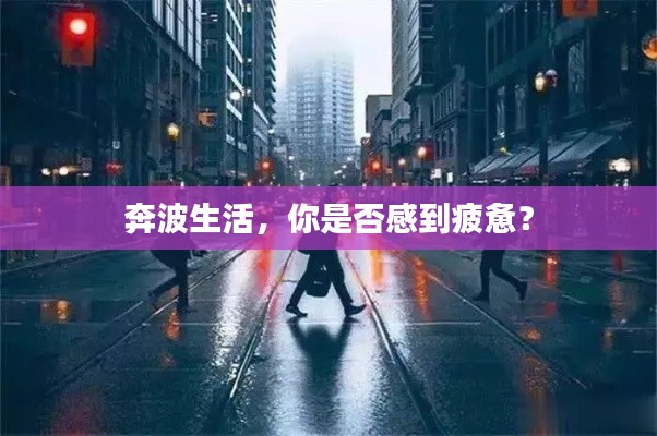 奔波生活，你是否感到疲惫？